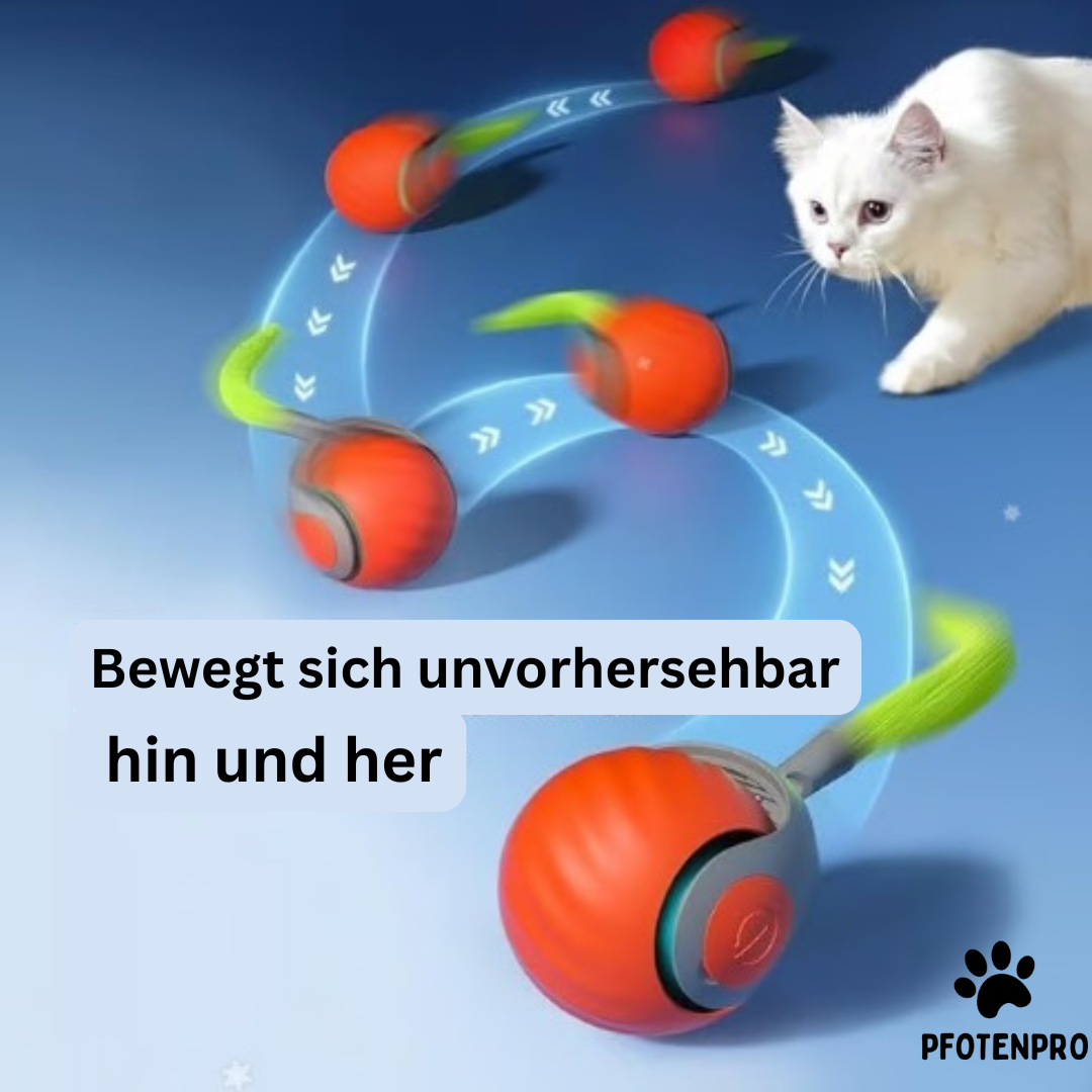 Interaktiver Spielball für Katzen