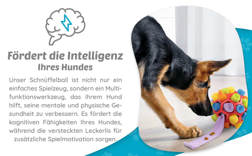 Schnüffelball - Das perfekte Spielzeug für clevere Vierbeiner