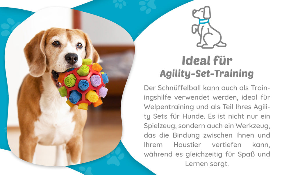 Schnüffelball - Das perfekte Spielzeug für clevere Vierbeiner