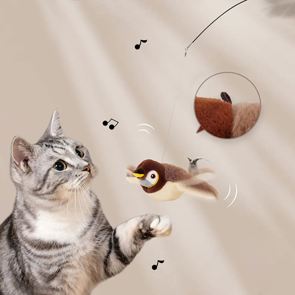 Interaktives Vogel Katzenspielzeug