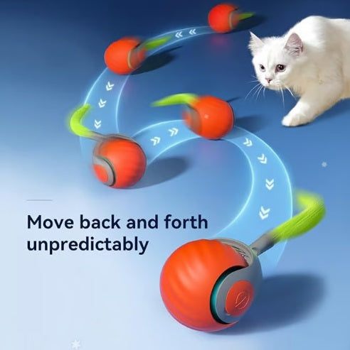 Interaktiver Spielball für Katzen