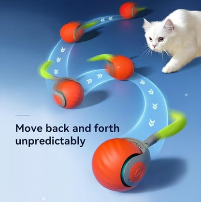 Interaktiver Spielball für Katzen