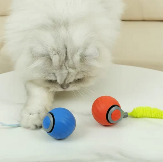 Interaktiver Spielball für Katzen